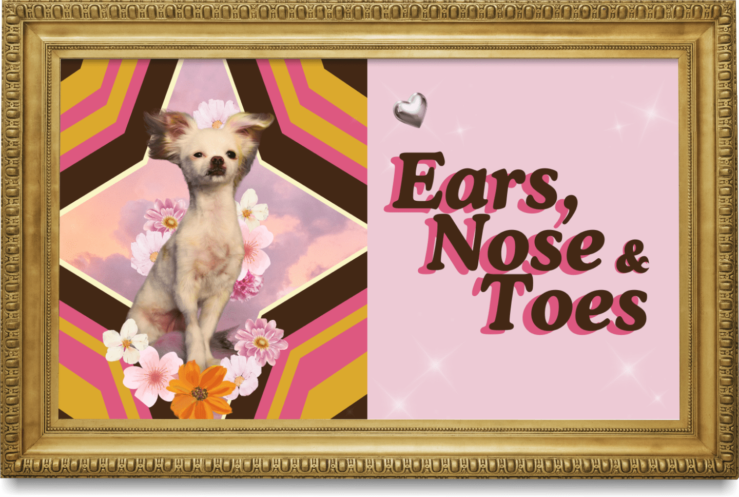 A framed image with a pink background on the right side and a geometric patterned background on the left side, featuring a small white dog with large ears and a flower crown, surrounded by pink and orange flowers, with text that reads 'Ears, Nose & Toes' and a small silver heart above it.