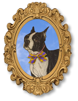 Portrait of a Boston Terrier dog wearing a purple and yellow striped bow tie, framed in an ornate gold frame, against a blue sky background.