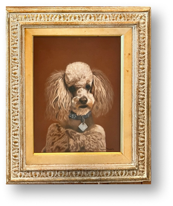 Framed portrait of a dog with poodle features, groomed with a curly coat and floppy ears.