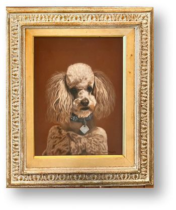 Illustration of a poodle dog inside a decorated gold frame