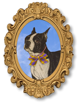 Painting of a Boston Terrier dog wearing a purple and yellow striped bow tie, framed in an ornate gold frame with a blue sky background.