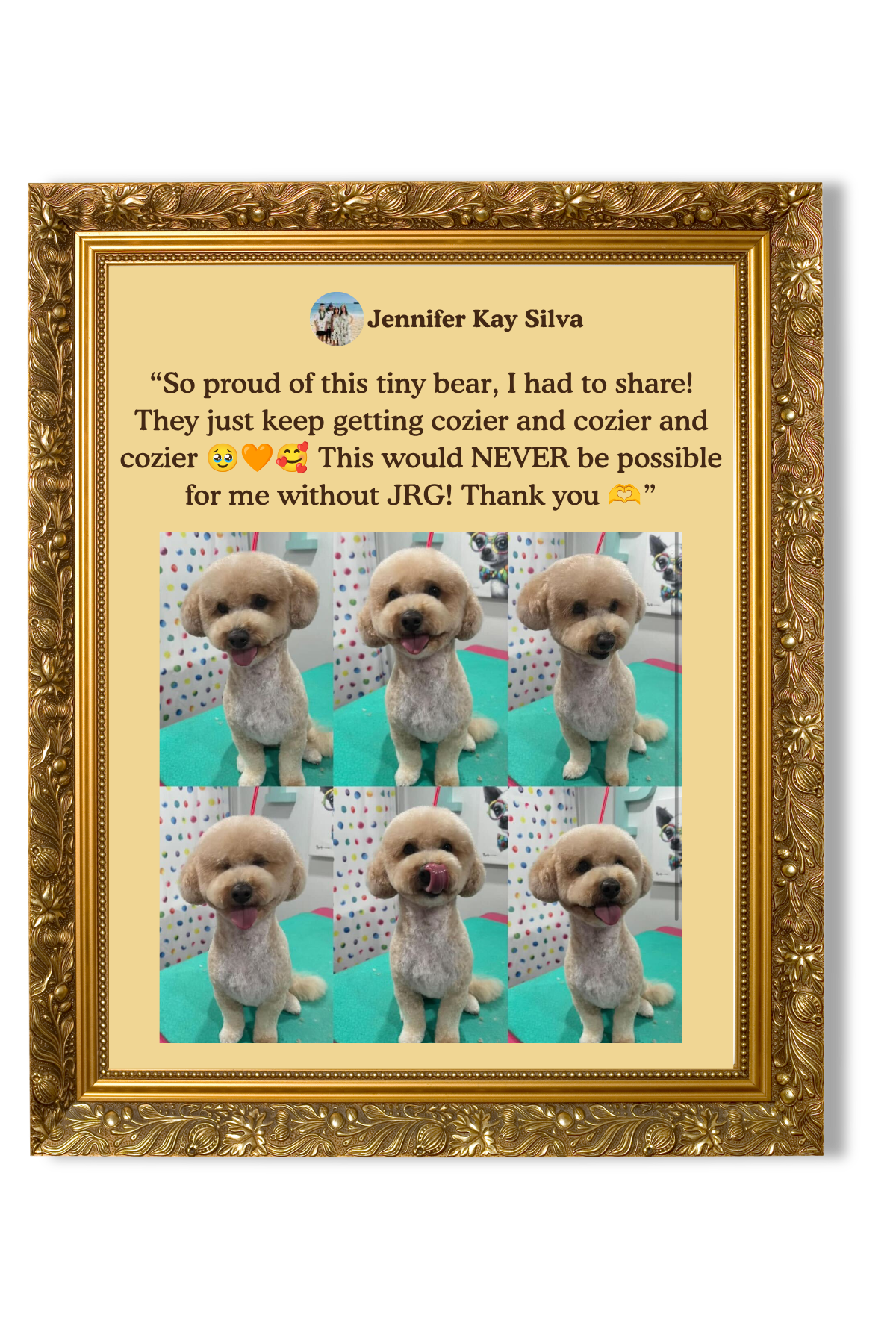 A framed photo collage with adorable groomed small dog photos and a positive message from Jennifer Kay Silva about her tiny bear dog and JRG.