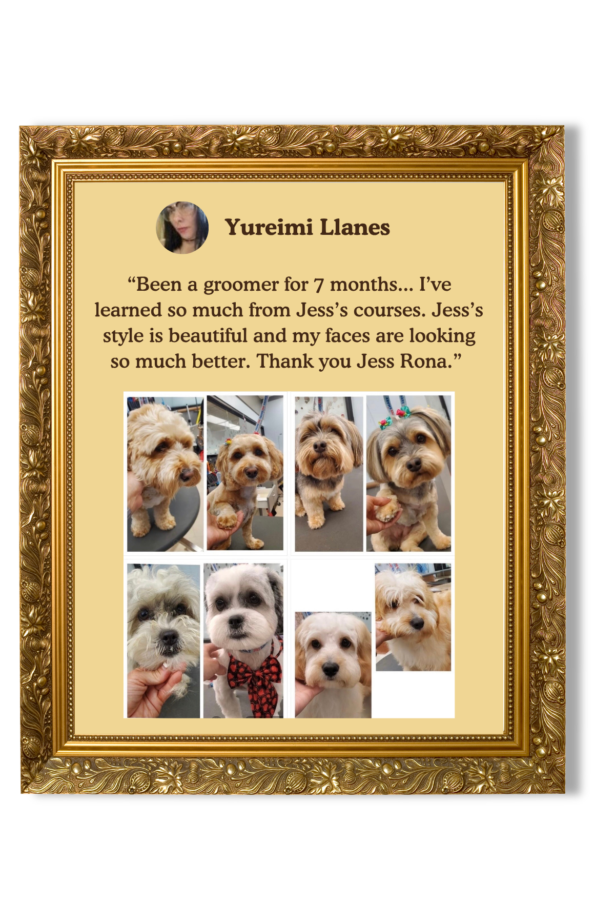 A framed testimonial with a photo of a woman named Yureimi Llanes, quote about her experience as a groomer saying she learned a lot from Jess's courses and improved her skills. Below, there are two rows of pictures showing different dogs, some with bows or accessories, after grooming.