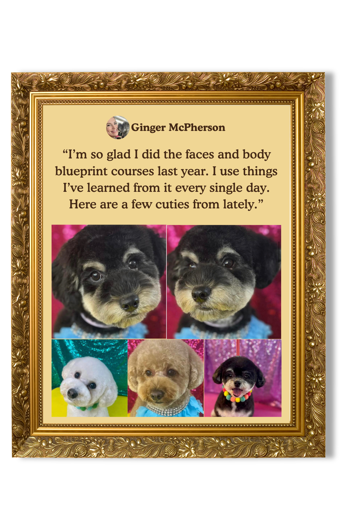 A framed collage of cute puppies with a quote from Ginger McPherson about her experience with face and body blueprint courses, featuring photos of adorable puppies in colorful backgrounds and accessories.