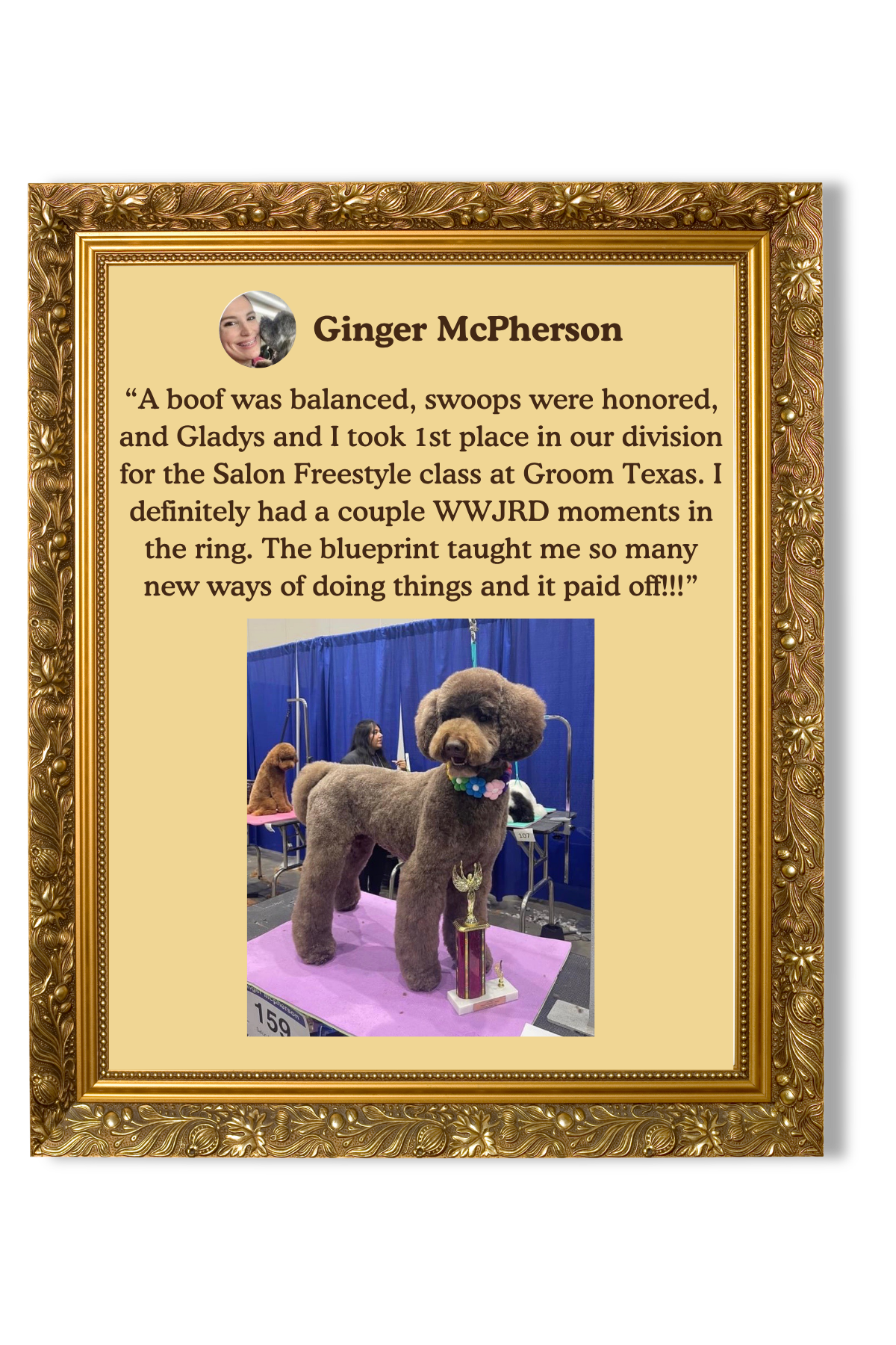 A framed award certificate featuring a photo of a woman named Ginger McPherson, a quote about a dog named Boof winning a salon freestyle contest, and a picture of a large, groomed brown poodle with a colorful collar, standing on a purple platform with a trophy in front of it.