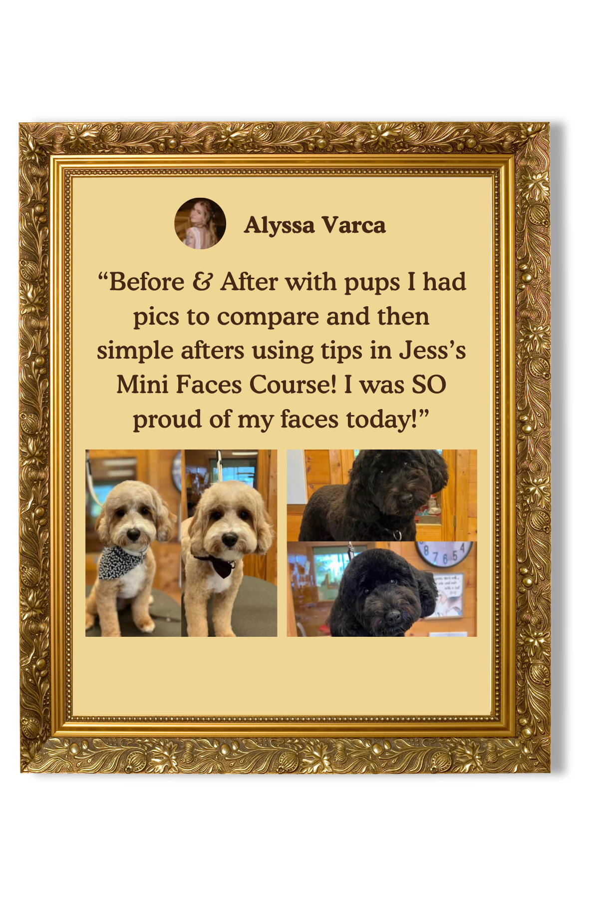 Testimonial frame with photo of a woman and pictures of two dogs before and after grooming, with a gold ornate border.