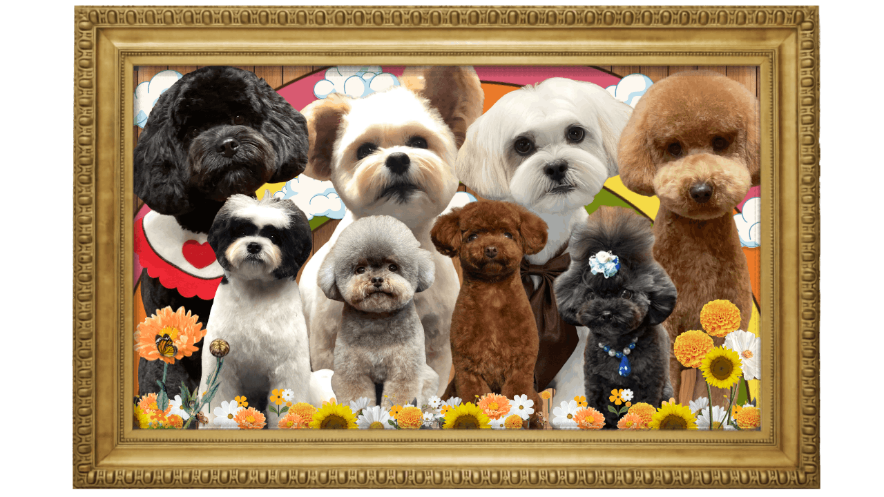 A digital artwork featuring ten different dogs with various breeds, some with bows and accessories, in front of a colorful cartoon sky with clouds and flowers, framed in a decorative gold border.
