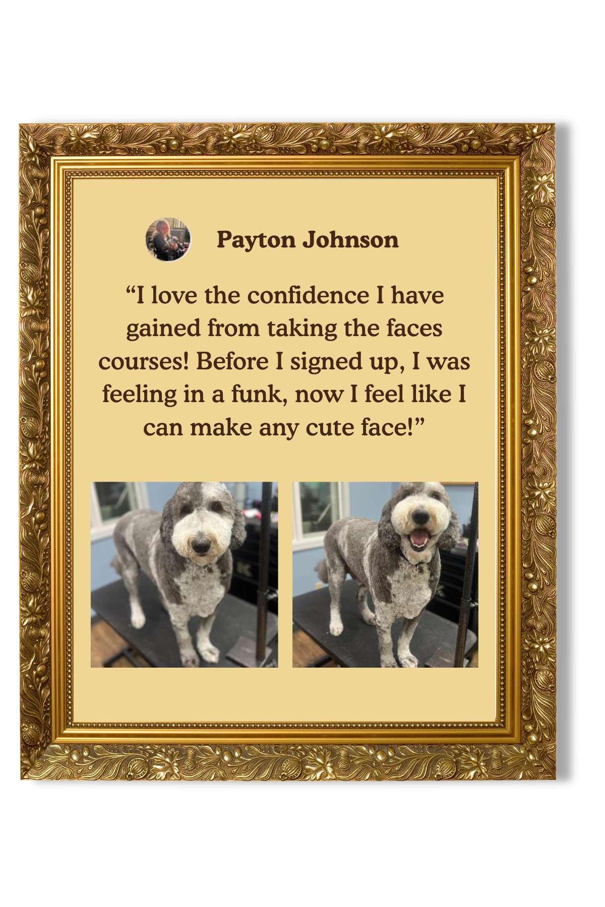 A framed testimonial from Payton Johnson praising taking face courses, with before and after photos of a dog showing a change from a sad face to a happy, smiling face.