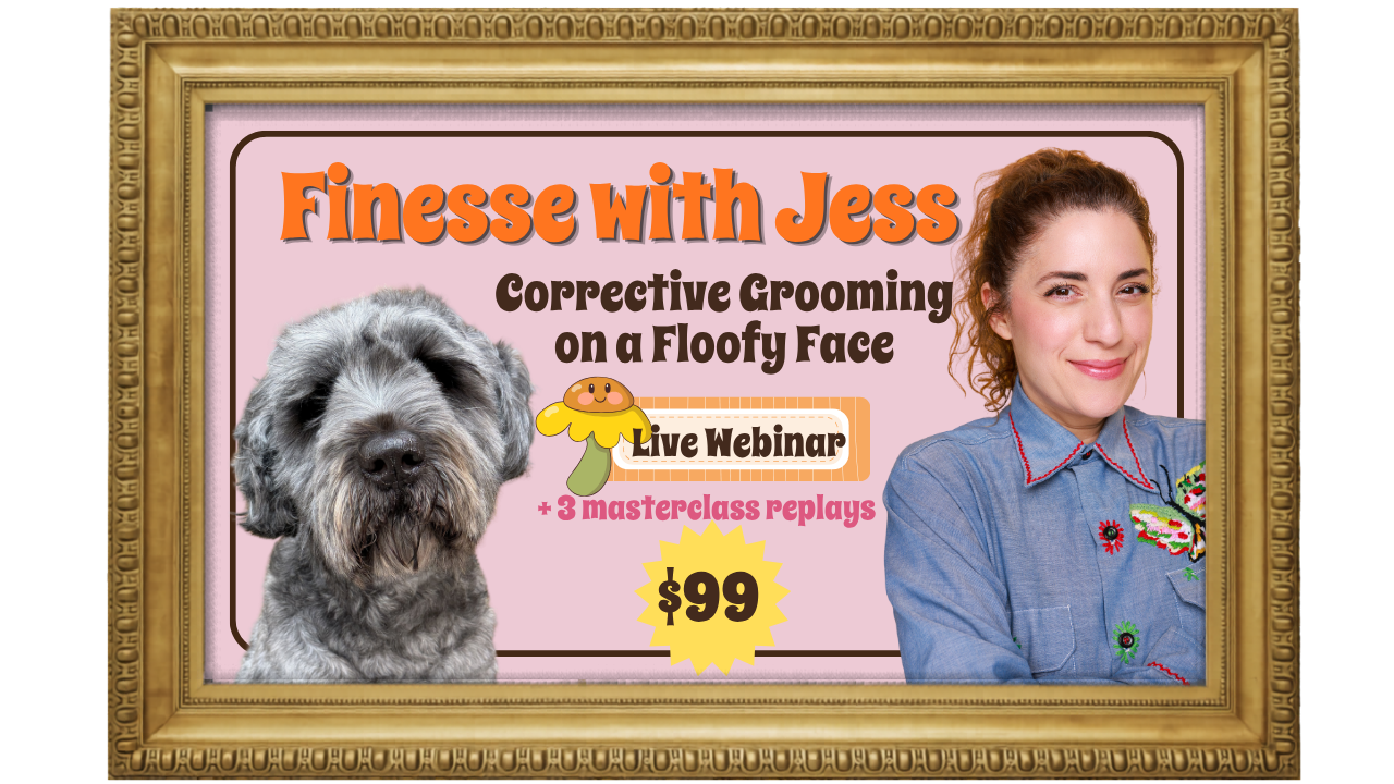 An advertisement for a webinar titled 'Finesse with Jess: Corrective Grooming on a Floofy Face' features a woman with curly hair in a blue shirt and a gray, fluffy dog. The webinar costs $99 and includes three masterclass replays.