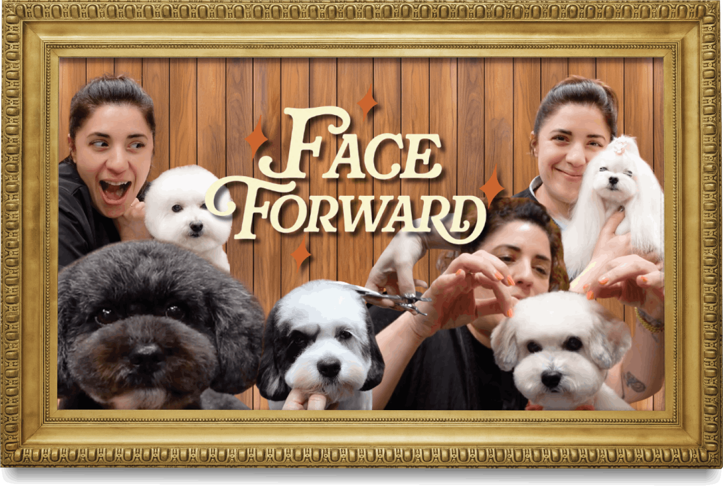 Two women with dogs, grooming and posing with fluffy white and black dogs in front of a wooden wall, framed by a gold ornate border with the text "Face Forward" in the center.