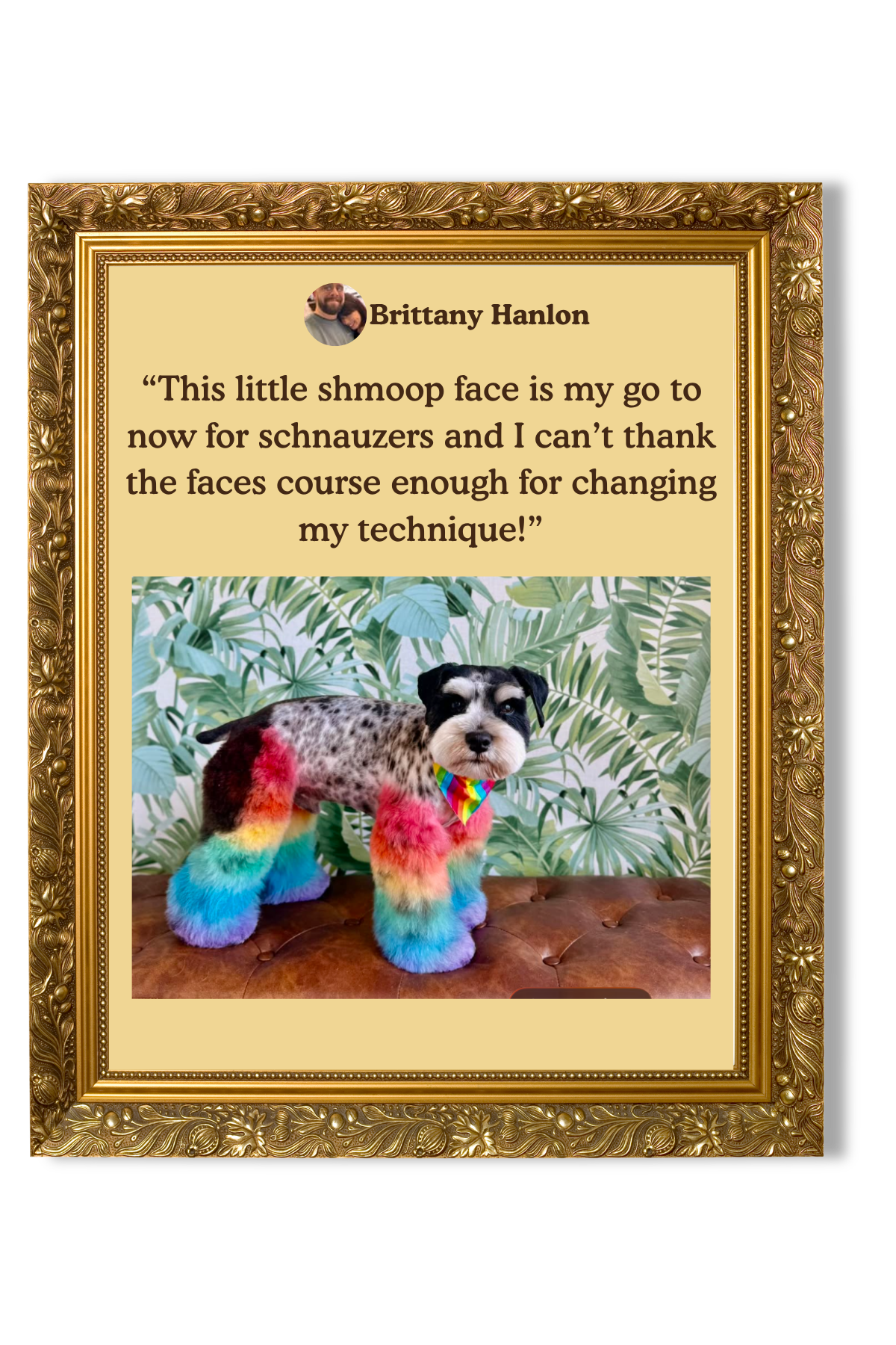 A framed picture featuring a dog with rainbow-colored furry legs and a rainbow bandana, standing on a brown tufted surface. The background has tropical leafy wallpaper. There is a quote from Brittany Hanlon about dogs and schnauzers.