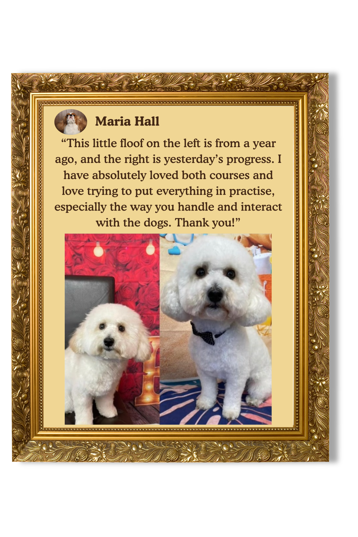 A framed testimonial about a dog groomer with two photos of a white dog before and after grooming, set against decorative backgrounds.
