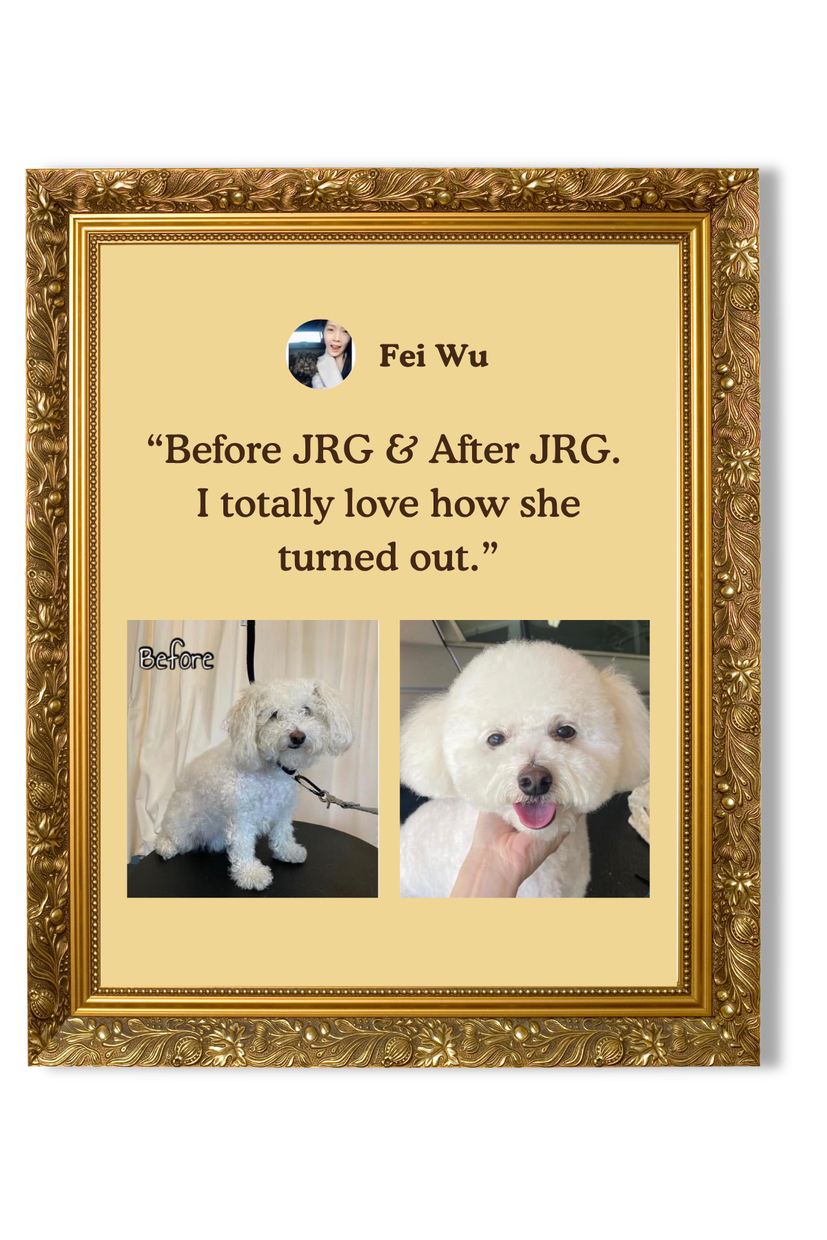 A framed photo collage featuring a woman named Fei Wu, with before and after photos of her dog. The left photo shows an older, curly-haired white dog sitting on a grooming table, and the right photo shows the same dog after grooming with a fluffy, shorter haircut and a happy expression.