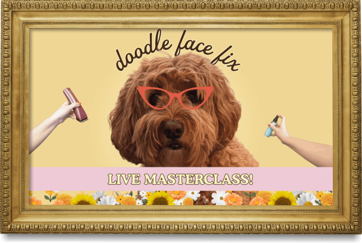 A dog wearing pink sunglasses with the text 'doodle face fix' above it and 'LIVE MASTERCLASS!' below. There are two hands holding spray bottles, aiming at the dog's face.