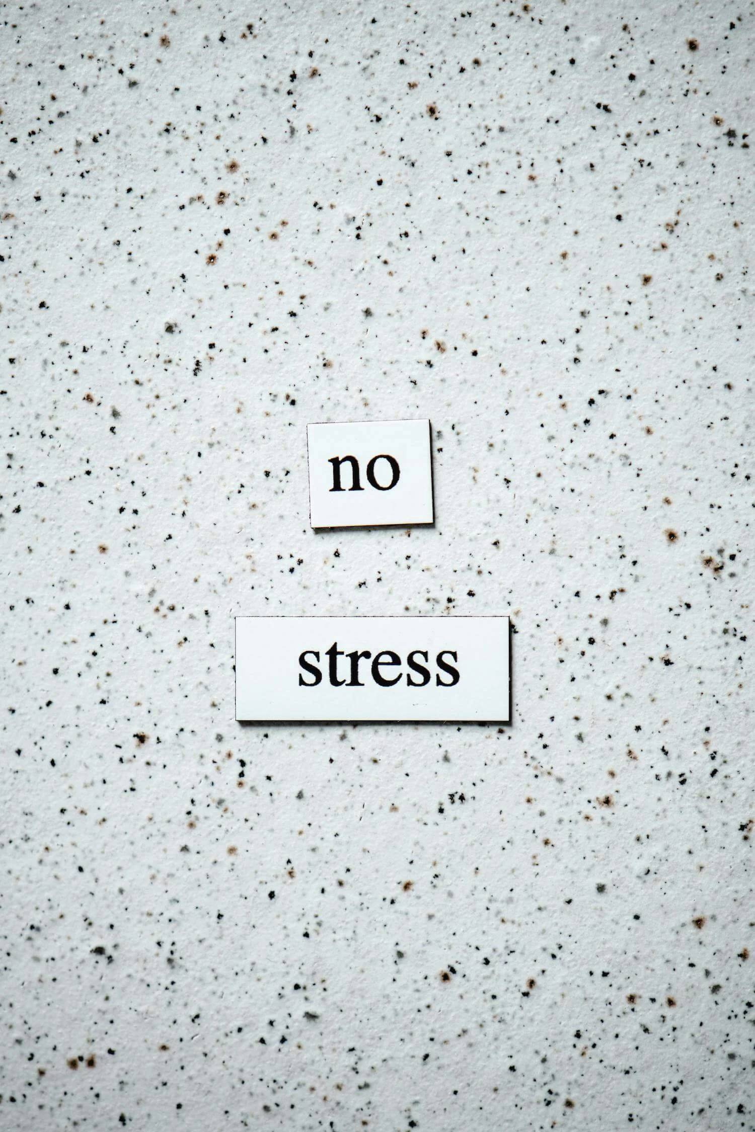 Recortes de papel pegados a la pared, forman la frase "no stress"