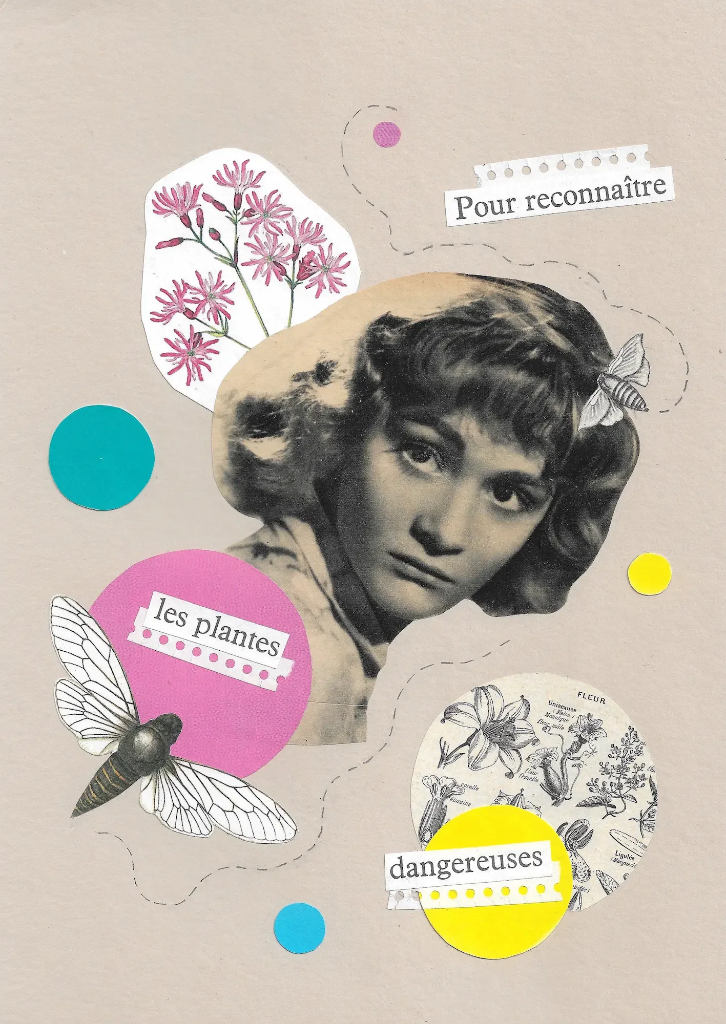 Les Plantes Dangereuses_1.webp