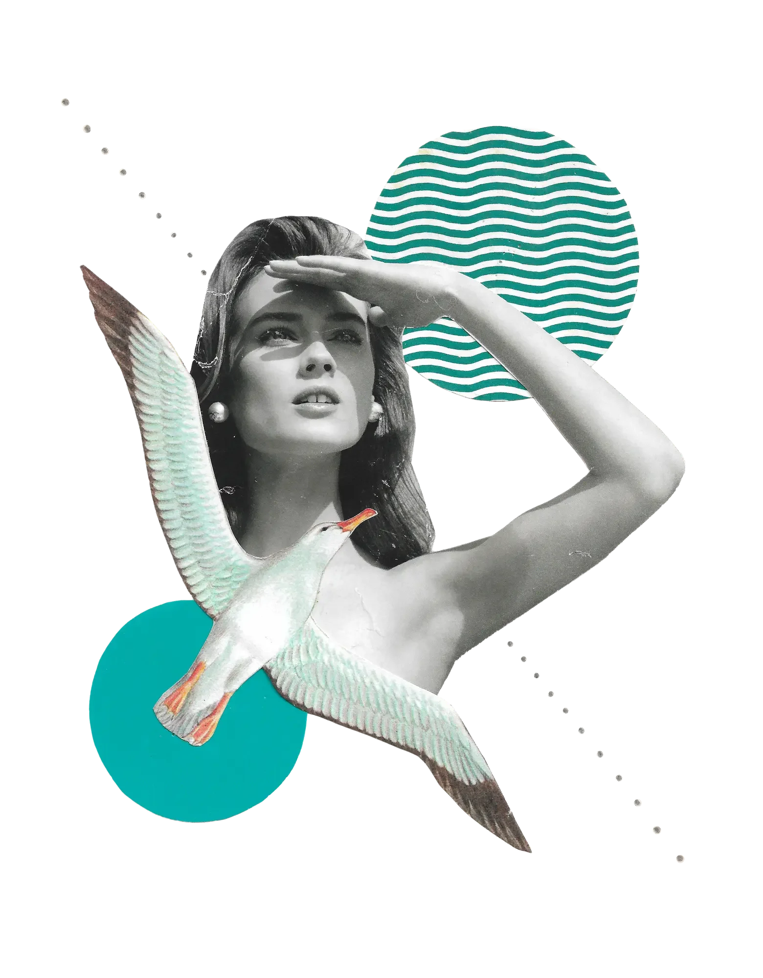 Albatros 600 (1).webp