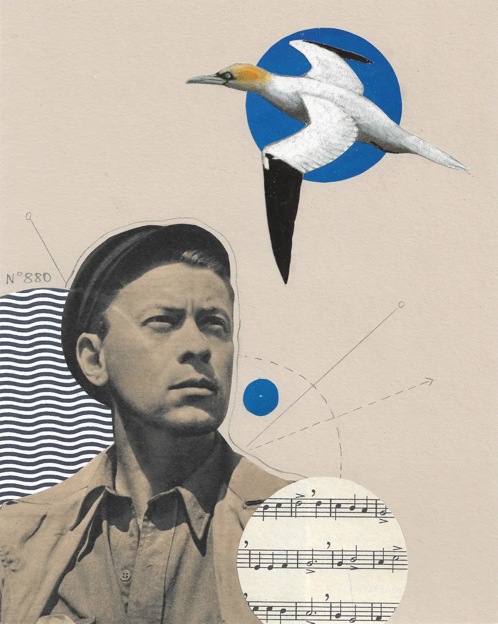 Oiseau, mon bel oiseau