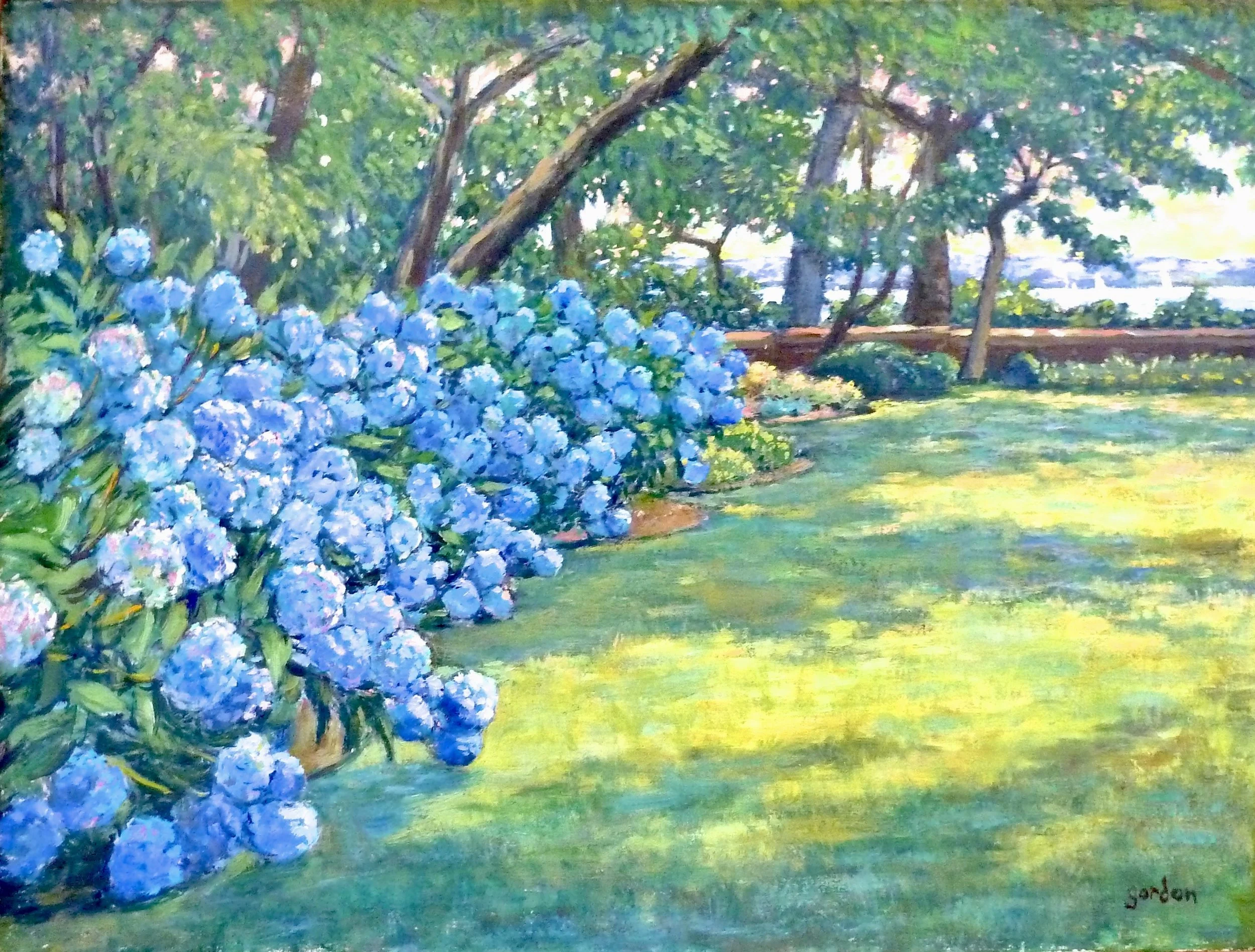 Hydrangeas in Sunlight 