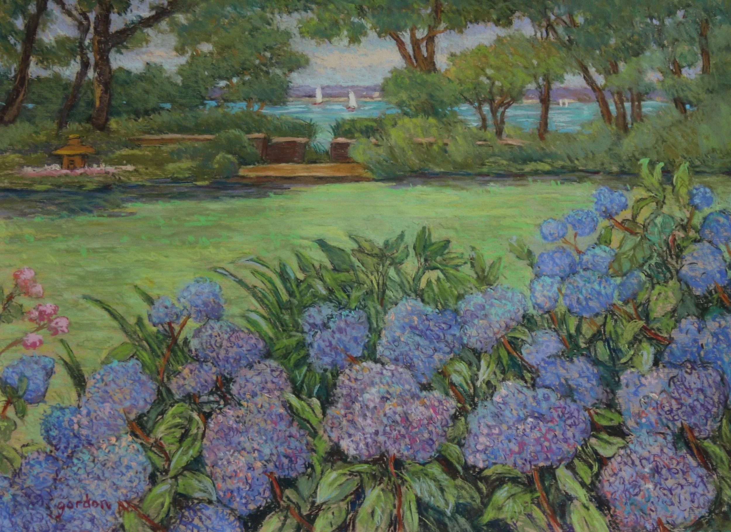 Hydrangeas in Secret Garden 