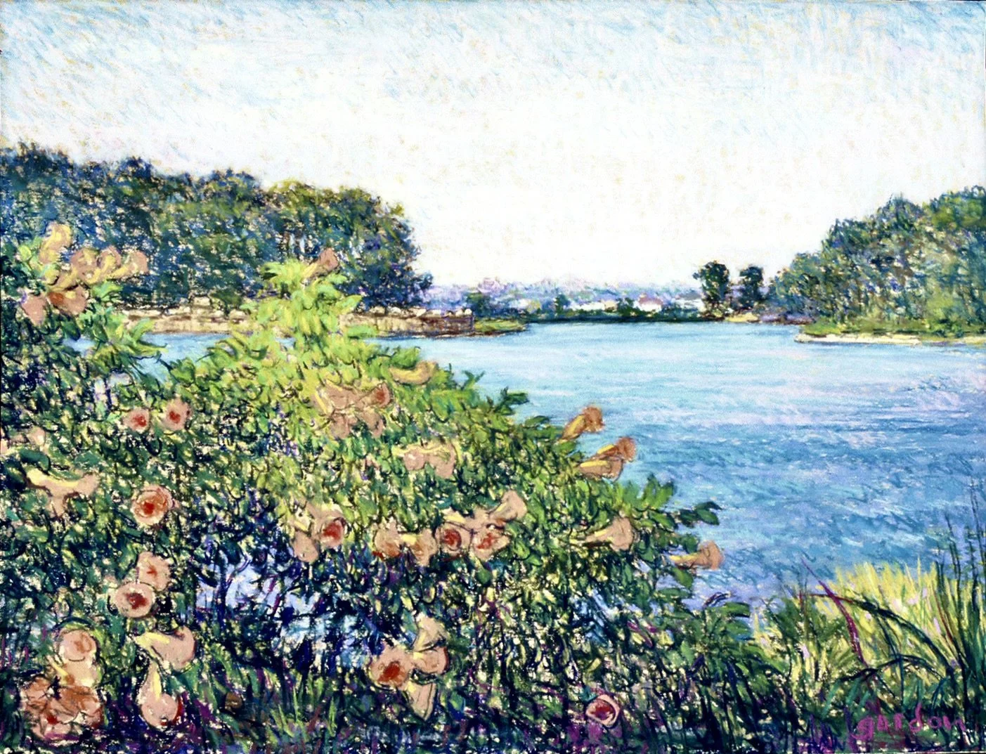 Trumpet Vines on Eagle Pond