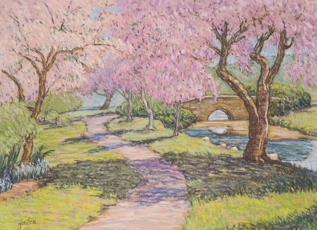 Binney Park Cherry Blossoms 