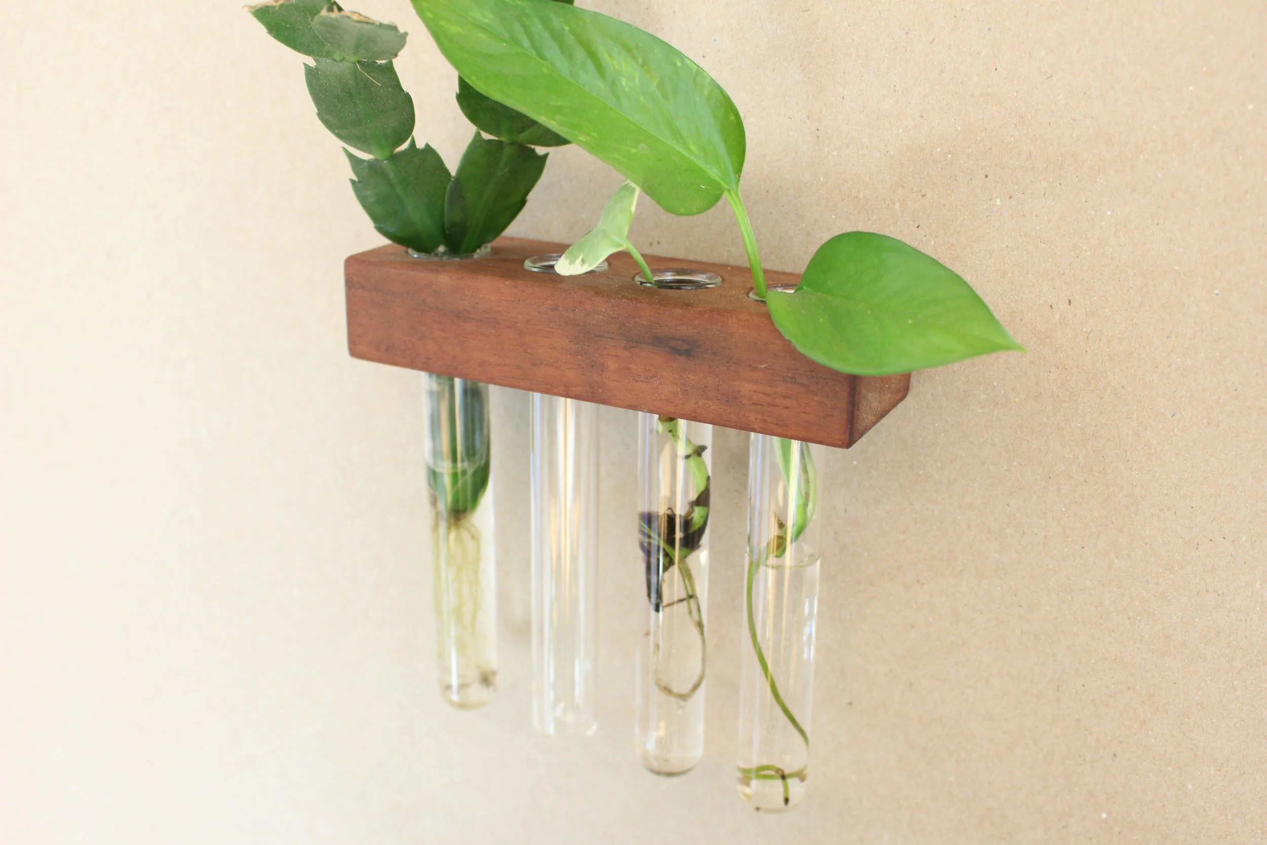 Wall Mounted Propagation Station