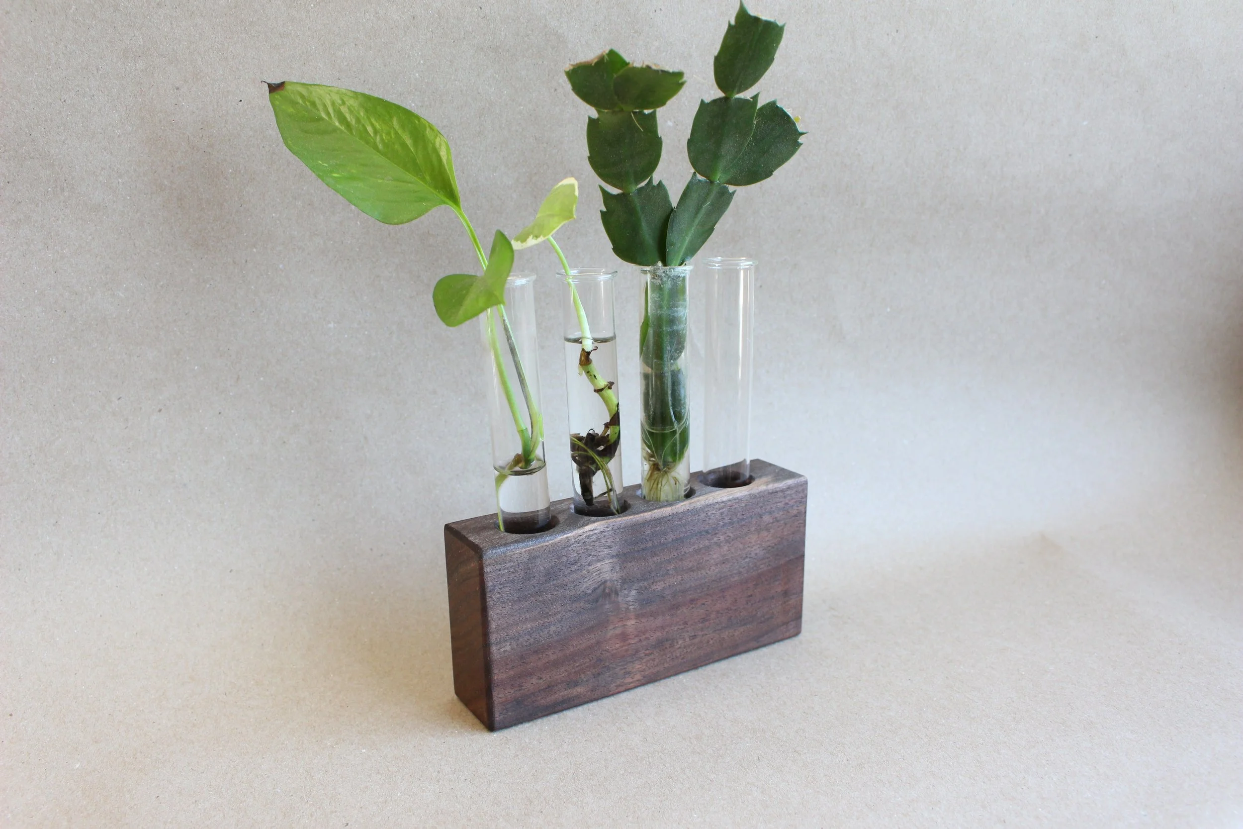 4 Tube Propagation Station