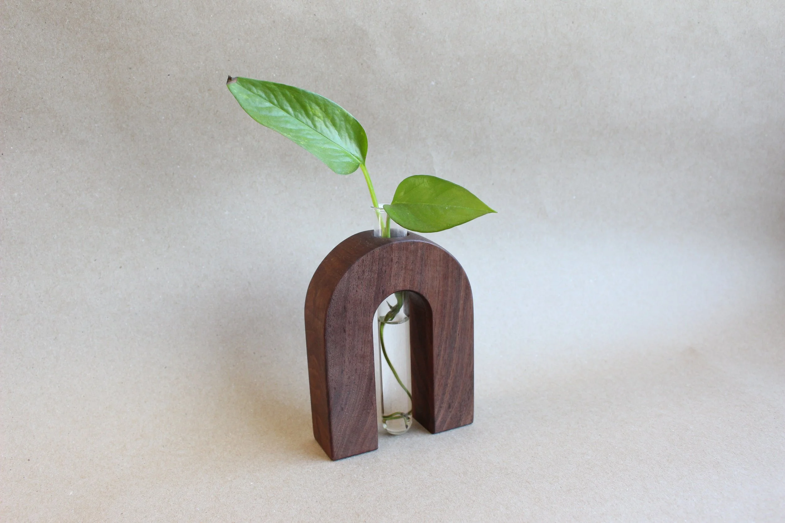 Arched Propagation Station