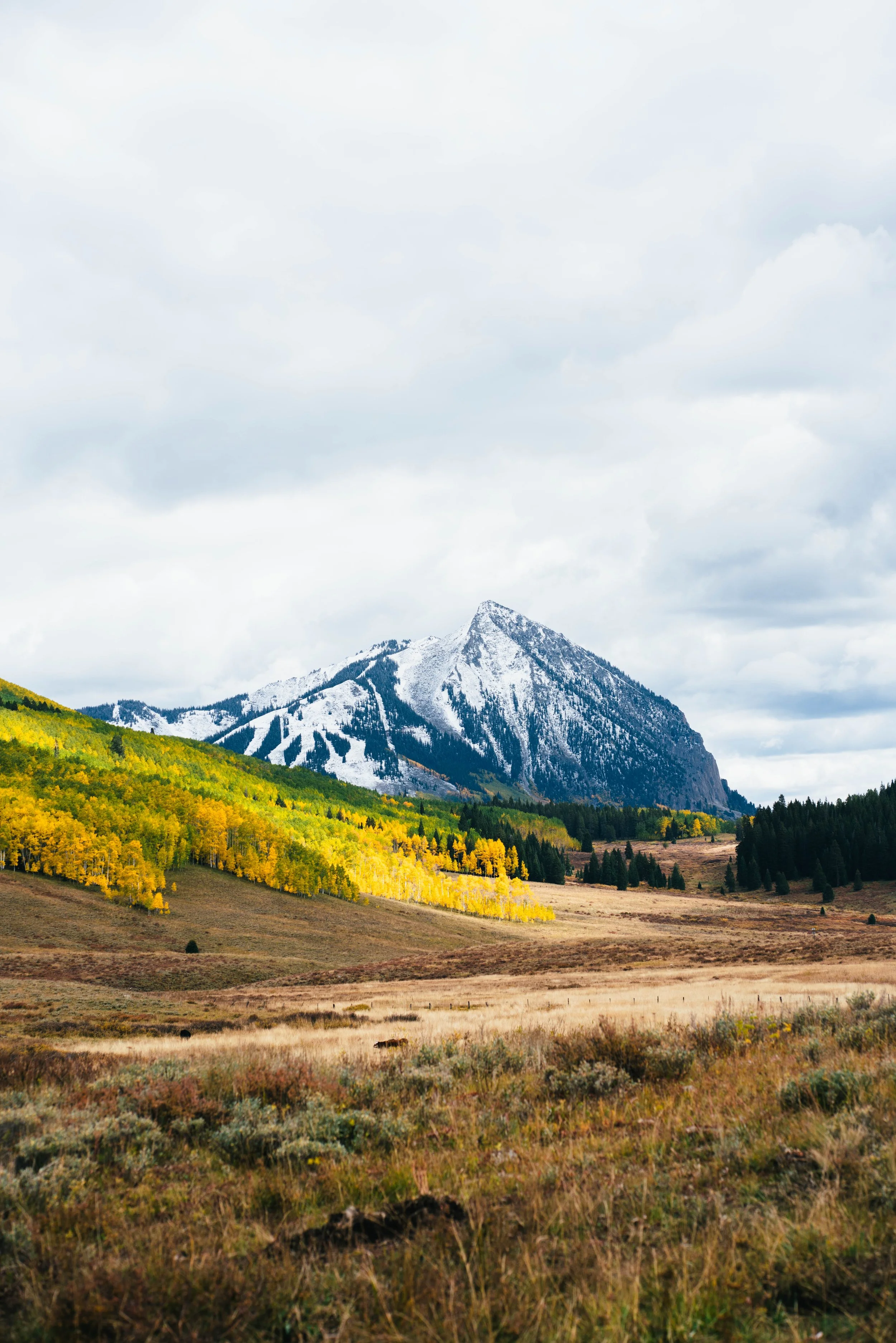 A landscape with a snow-capped mountain in the background, green and yellow trees on the hillside, and a grassy plain in the foreground under a cloudy sky.