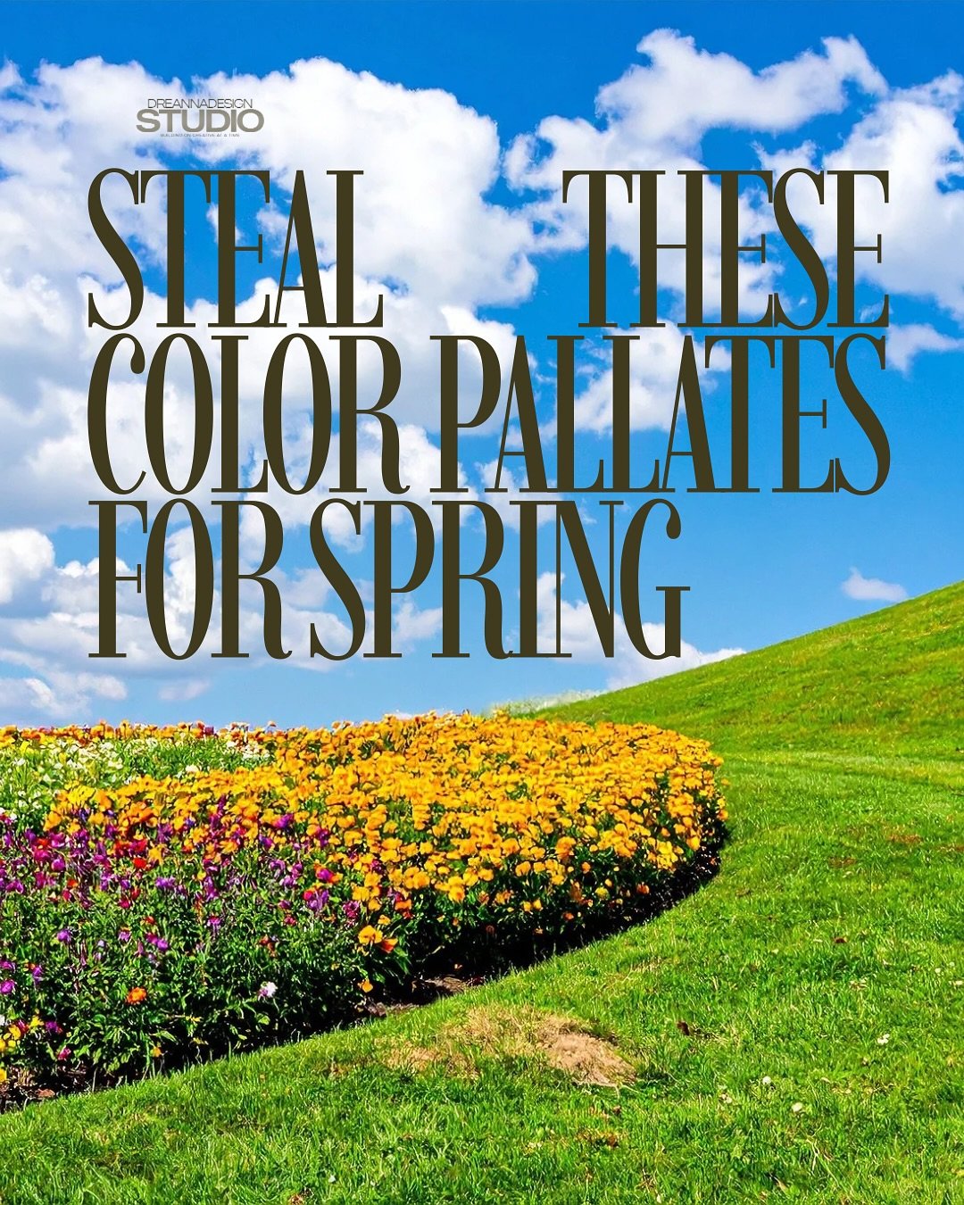 Steal these spring color palettes the next time you design ! 

Comment below which one you like ! 

#dreannadesignstudio #canvadesign