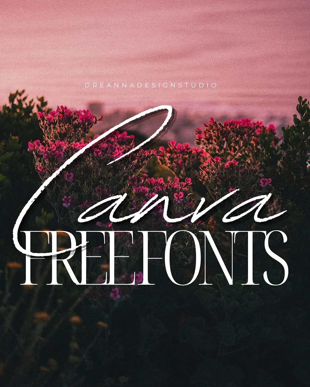 here are some free @canva fonts that you can use ! 

Comment below which one is your favorite? 

#canva #dreannadesignstudio #canvafonts