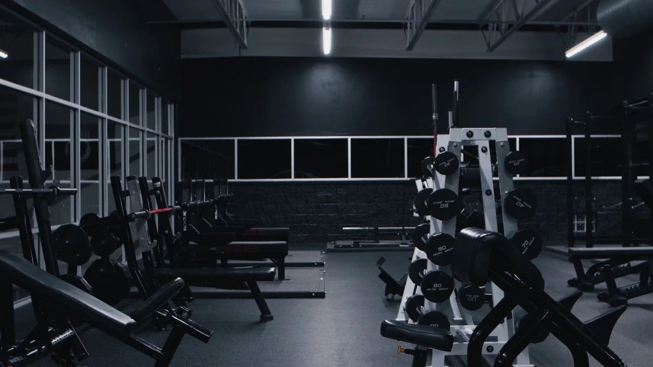 above-03-freeweights-dumbbells.jpg