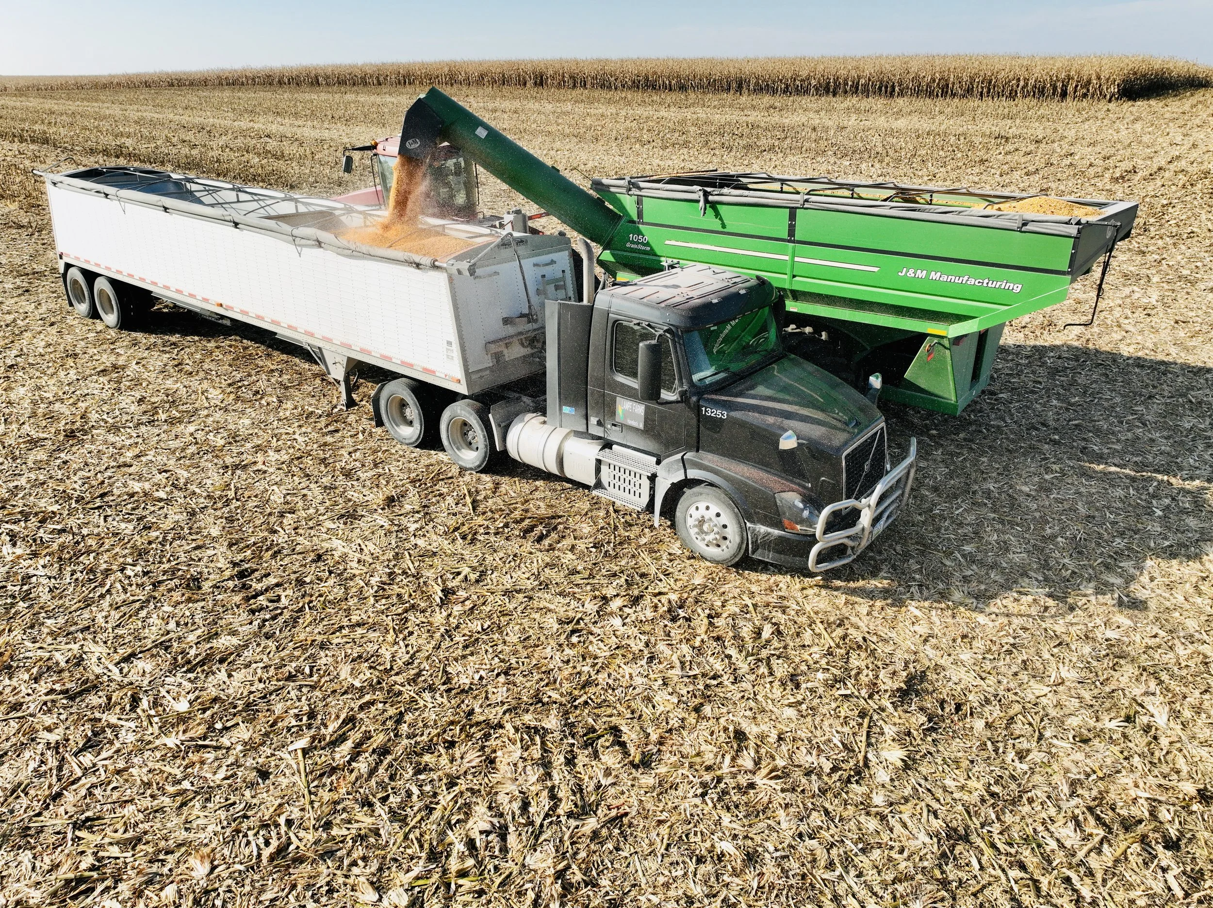 A large truck in a field, pouring grain into a green farm hopper attached to the truck.