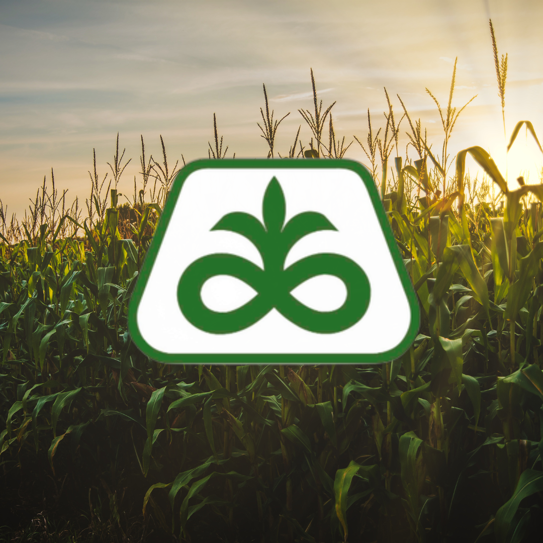 Field of corn at sunset with a green and white USDA organic logo in the foreground.