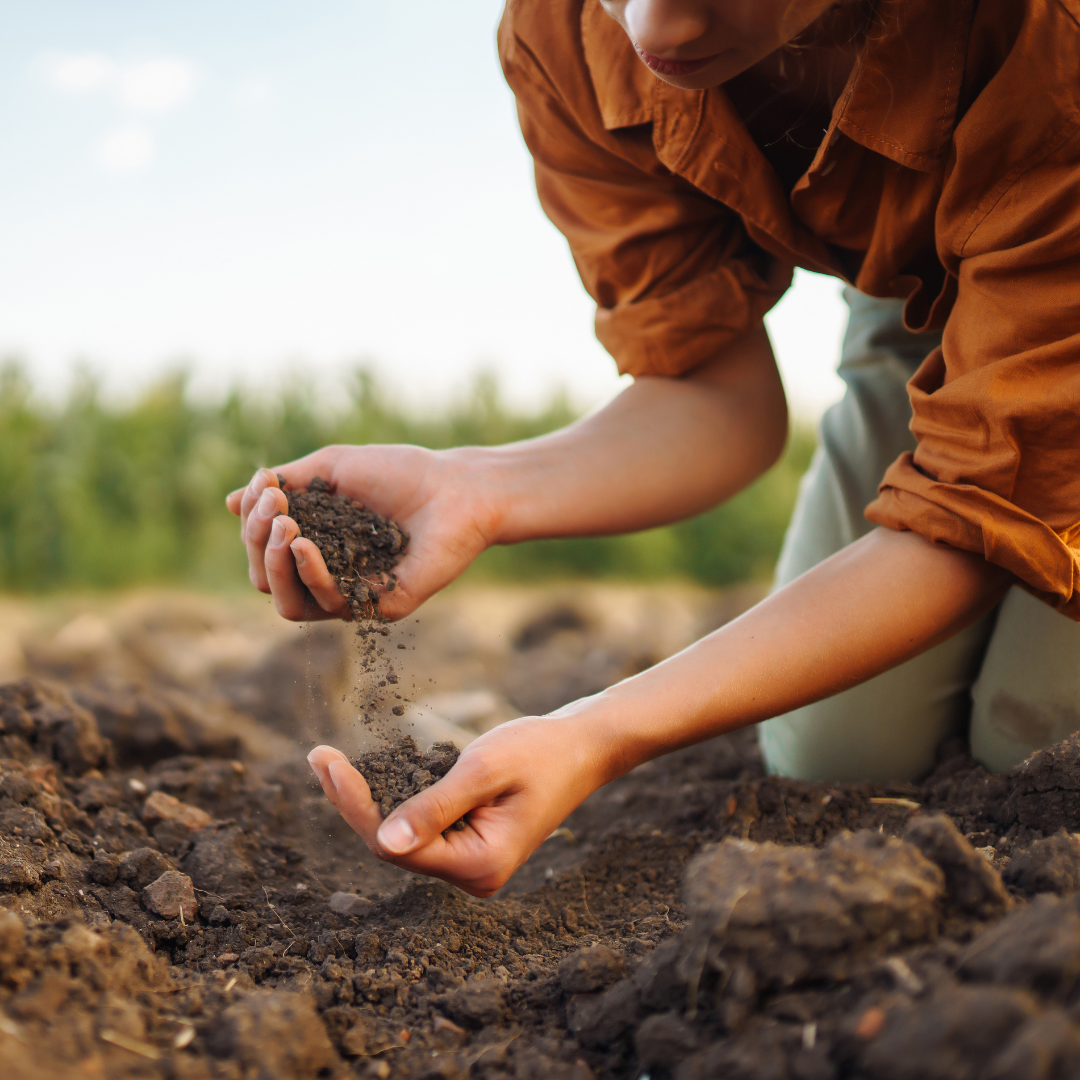 Person kneeling on soil outdoors, holding soil in hands, planting or inspecting soil with a blurred green field in background.