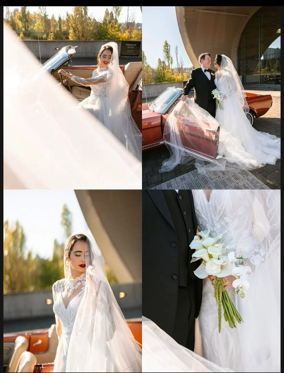 23250.jpg