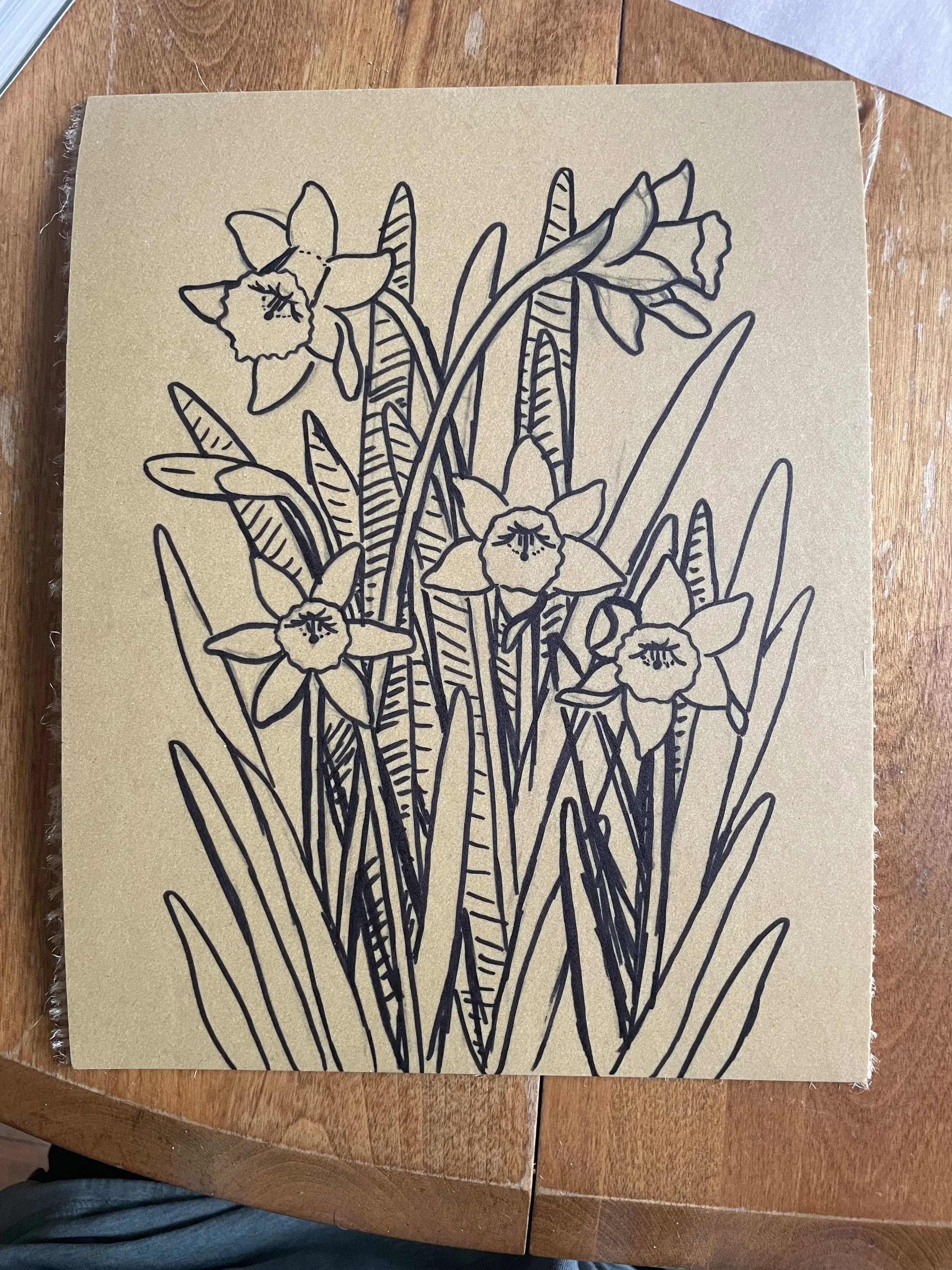 Daffodil provess.jpeg