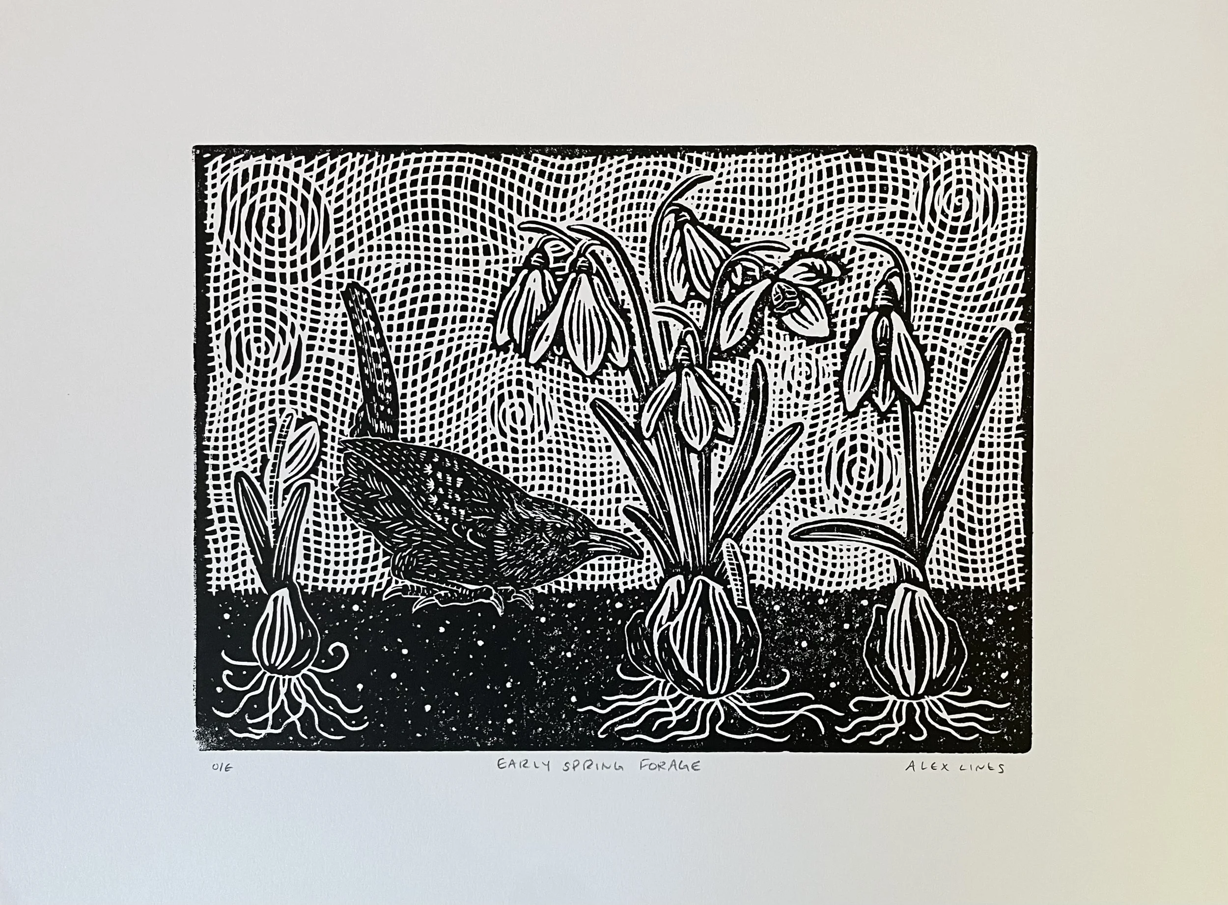 Early Spring Forage.jpeg