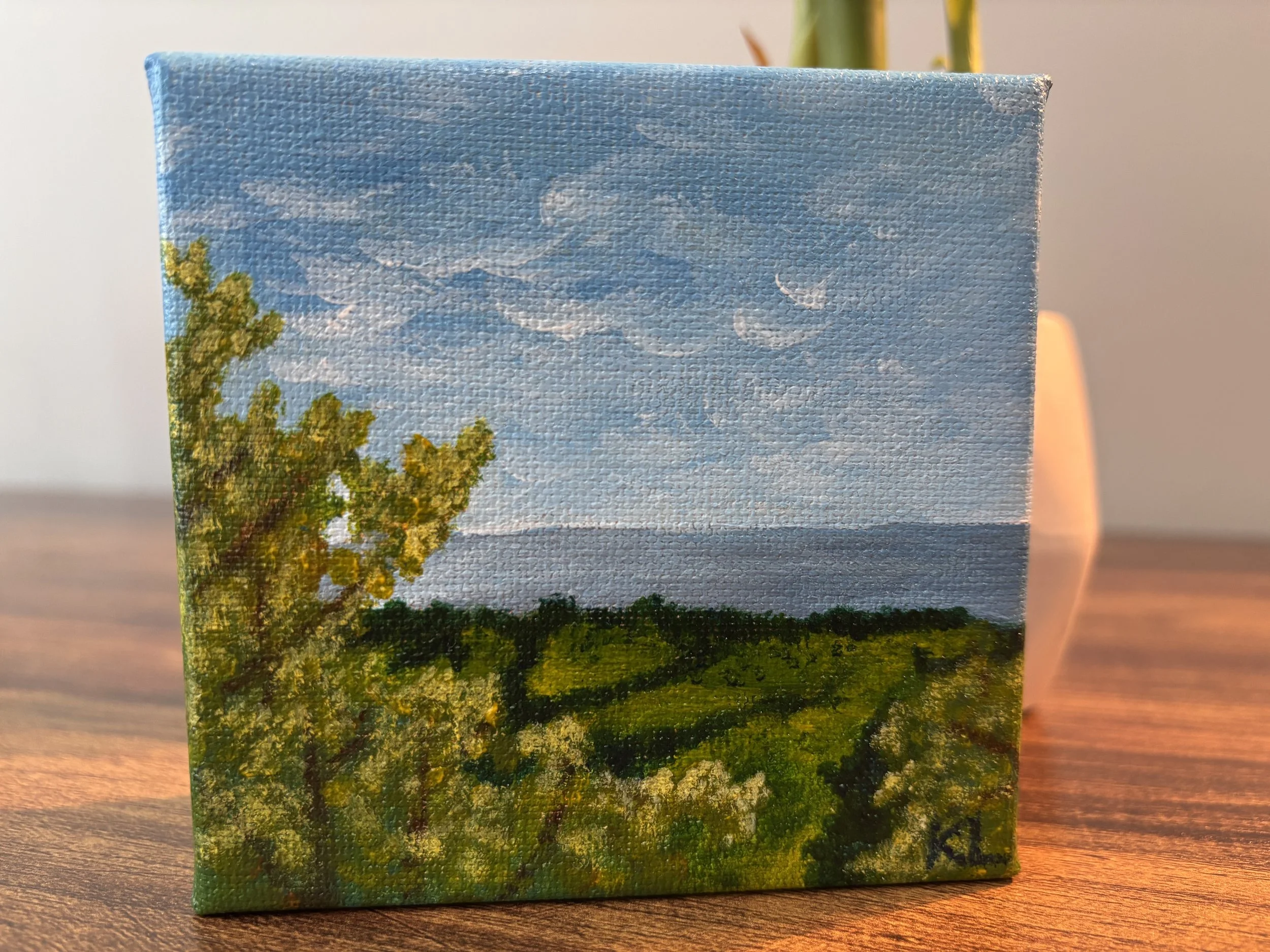 View From Afar
