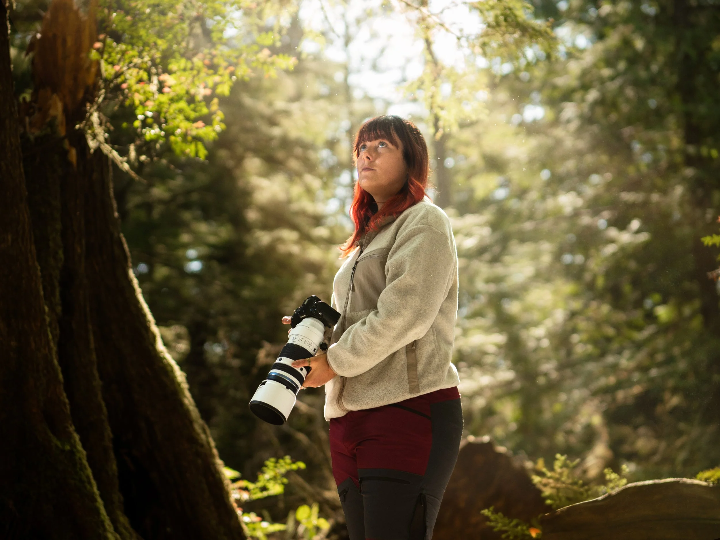 OM SYSTEM - 50-200mm