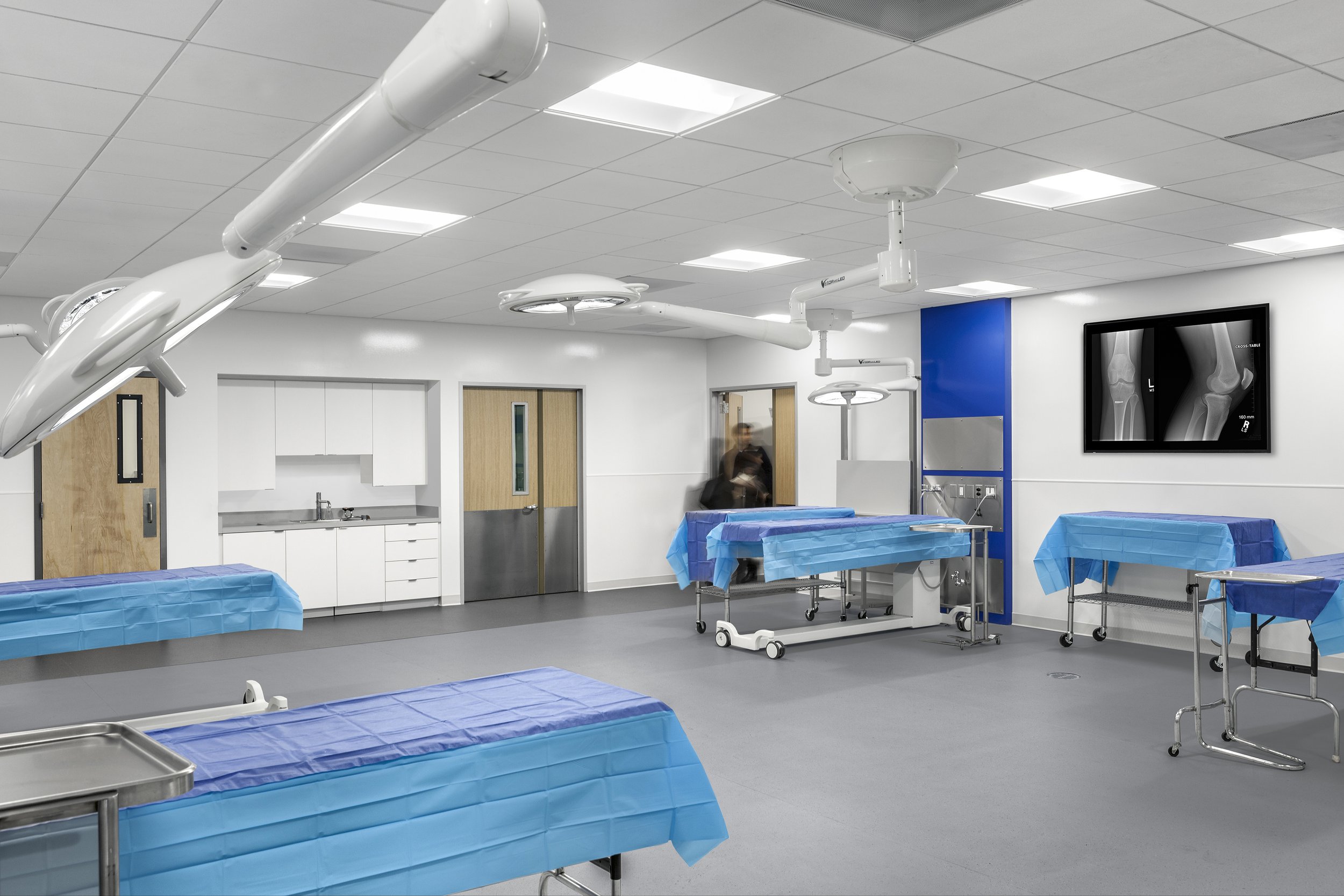 RL6_Photo2_Anatomy Lab 2.jpg