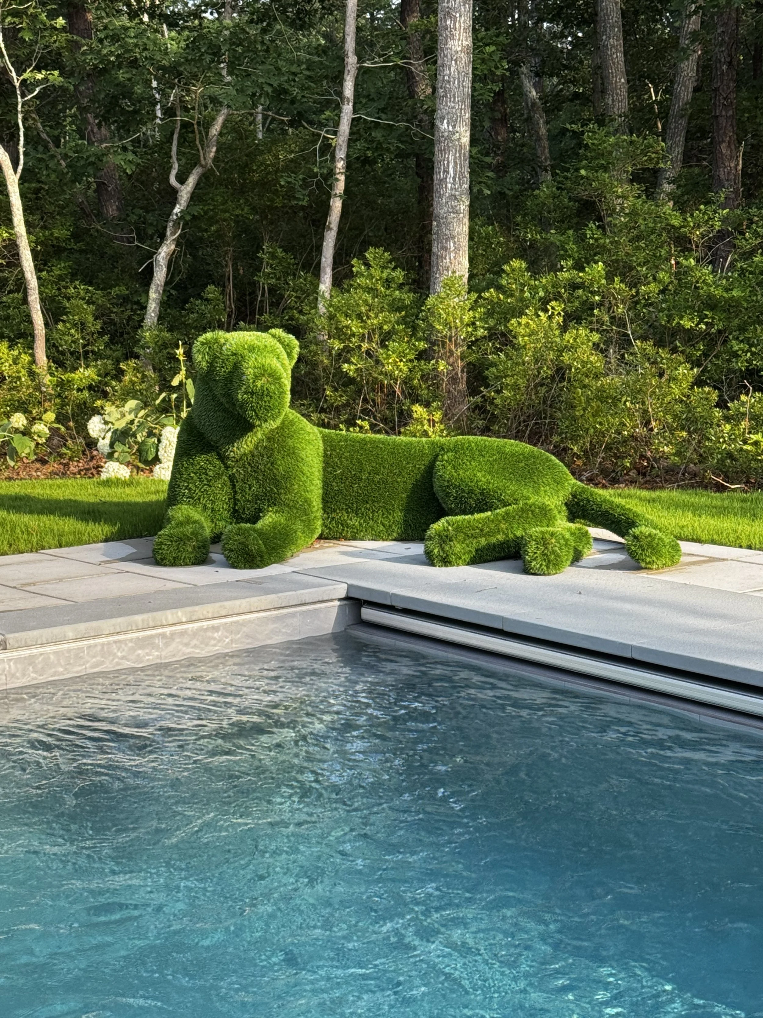 IMG_6308.jpeg