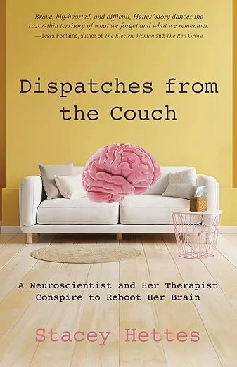 Book cover titled 'Dispatches from the Couch' by Stacey Hetties, featuring a white sofa with gray pillows, a pink brain illustration on the sofa, and a small pink wire basket, set against a yellow wall.