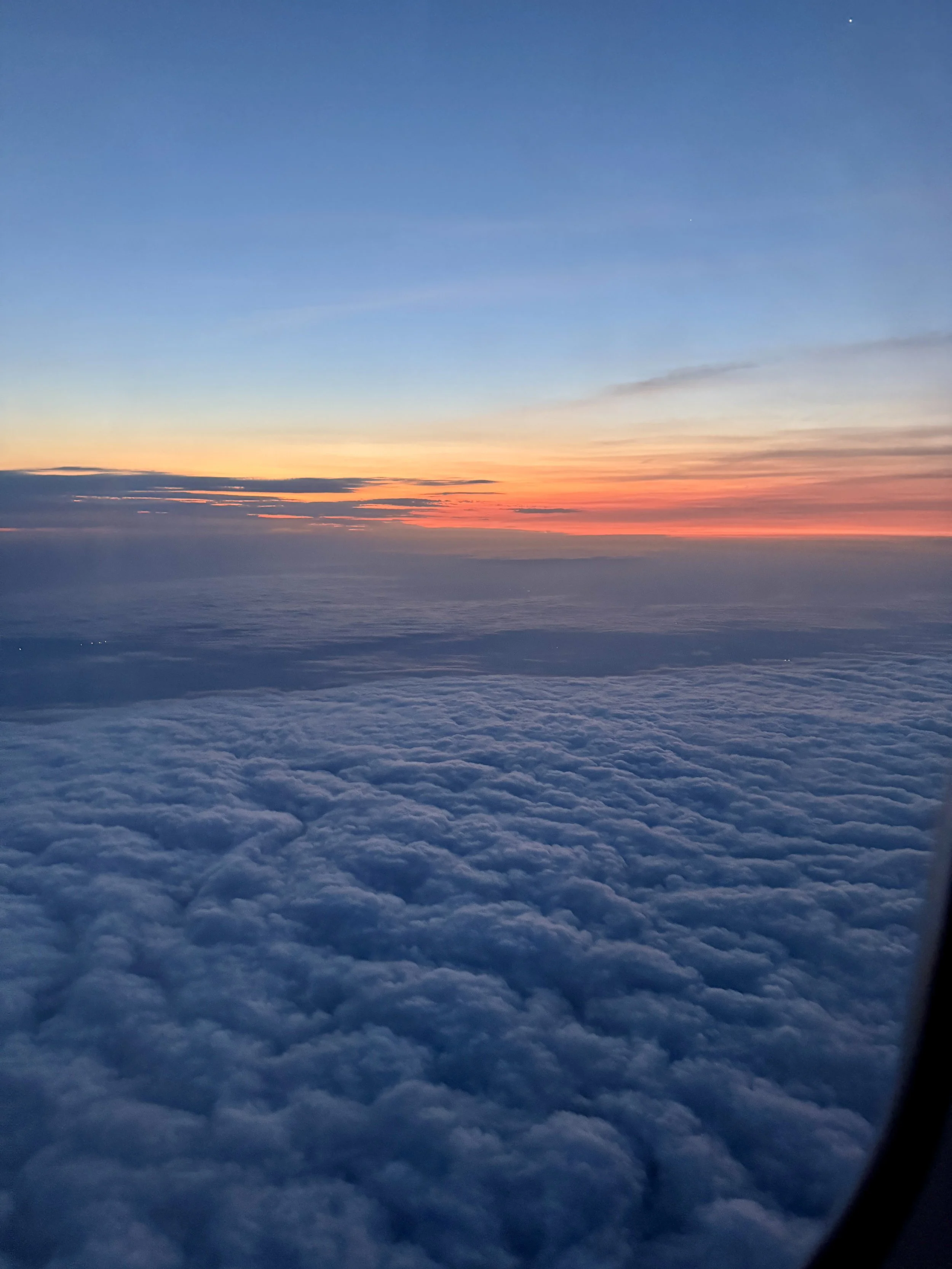 Curated Travel Made Simple: What a Travel Advisor Really Does