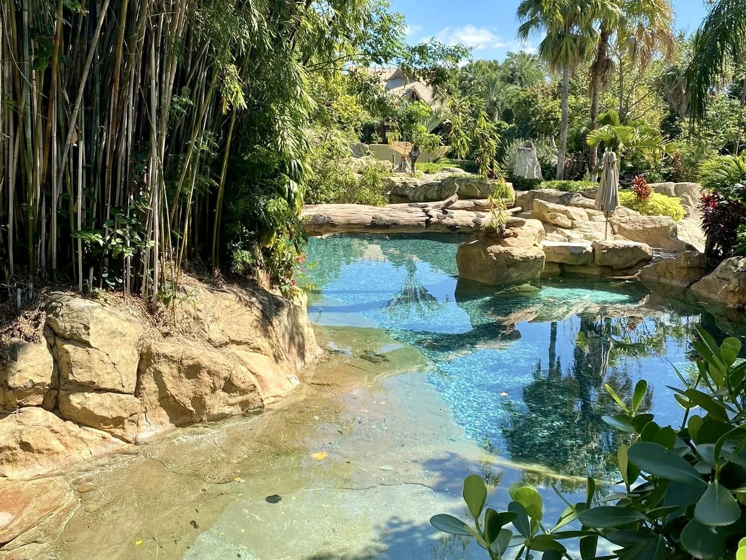Swim, Snorkel, Relax… Who Will Love Discovery Cove (and Who Might Skip It)