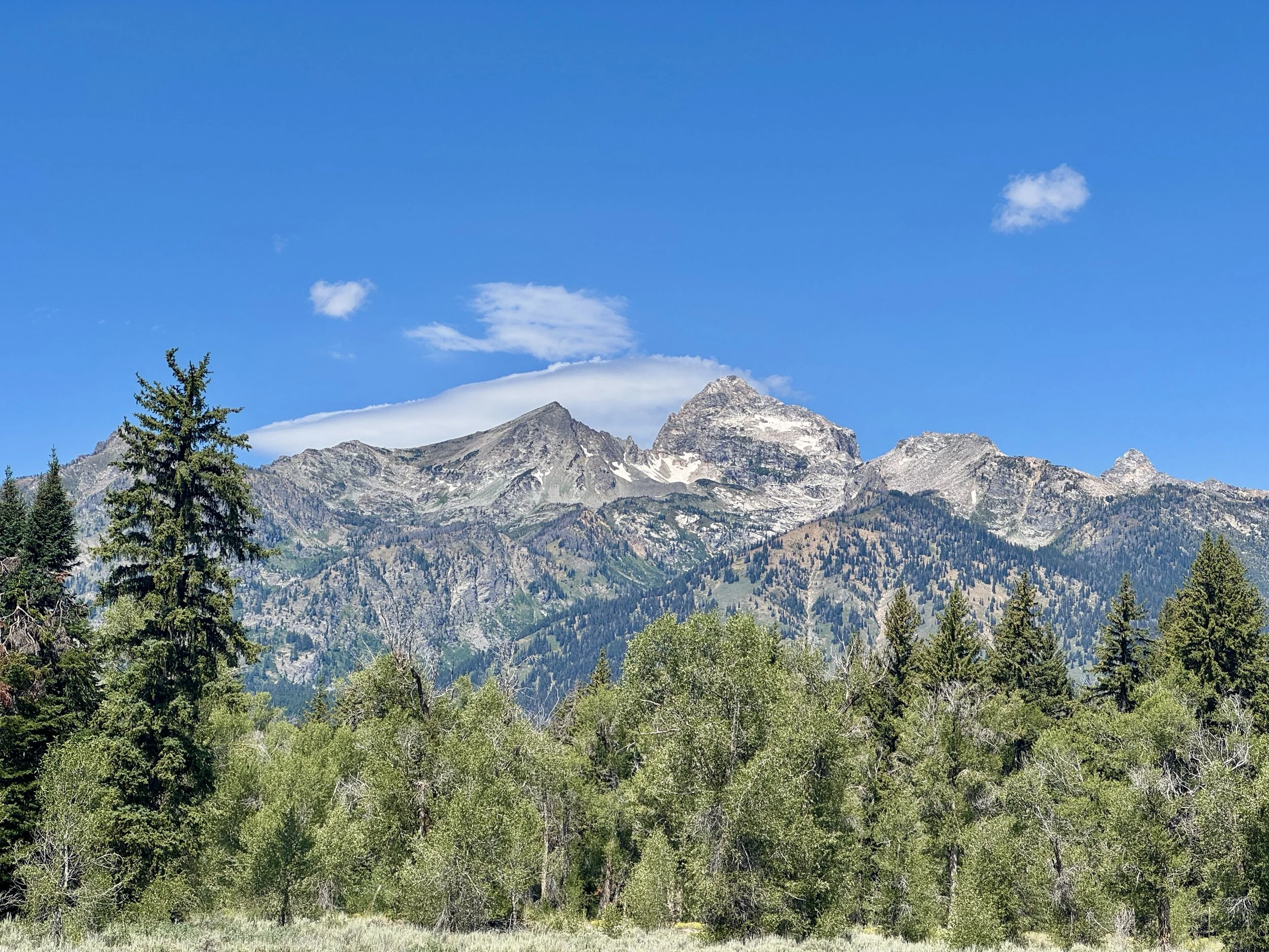 Adventures by Disney Wyoming: A Trip Recap Worth Reading (Part 1 of 2)
