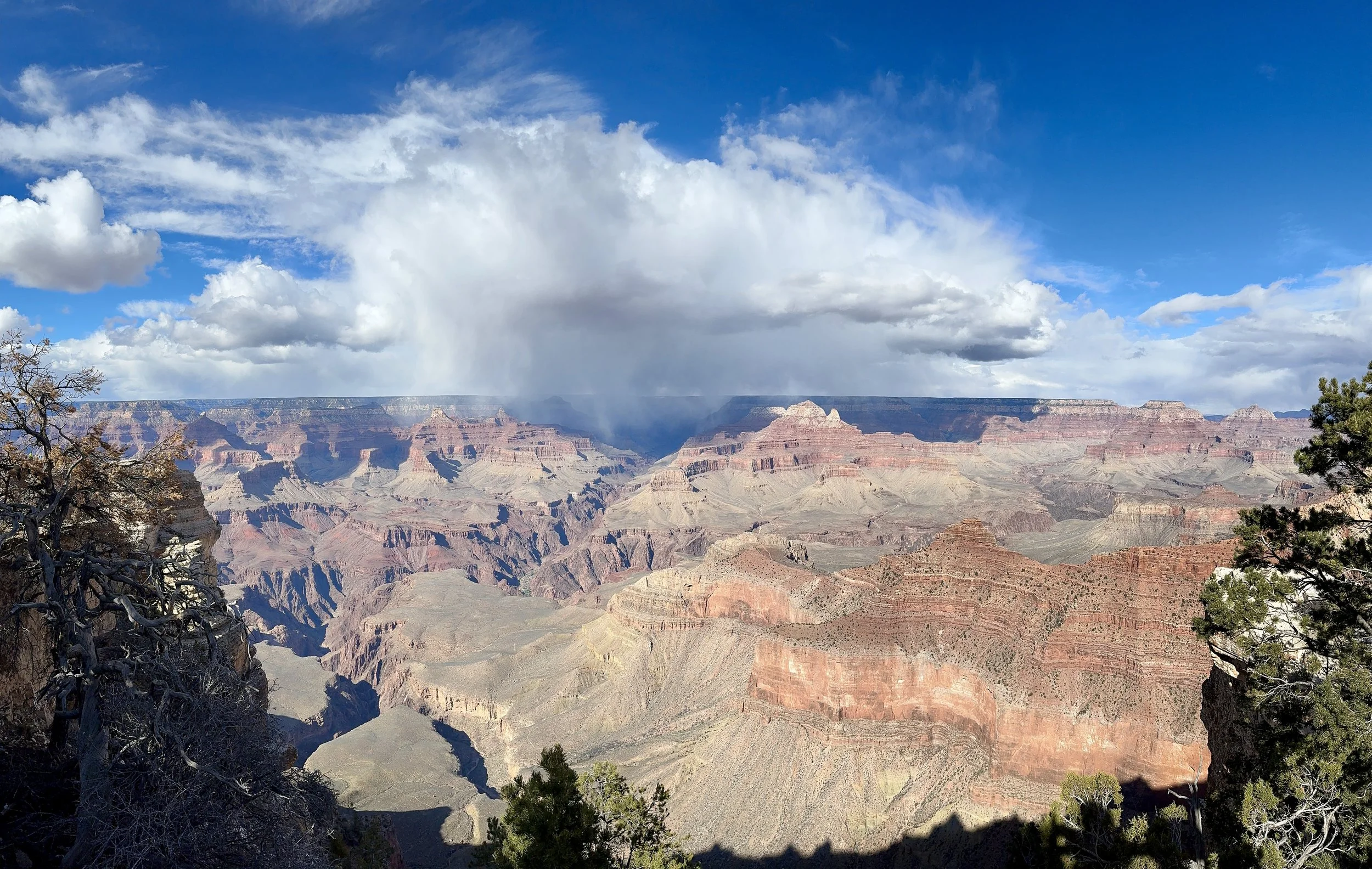 Panoramic view of the Grand Canyon with layered rock formations, sparse trees in the foreground, and a mostly cloudy sky with patches of blue.