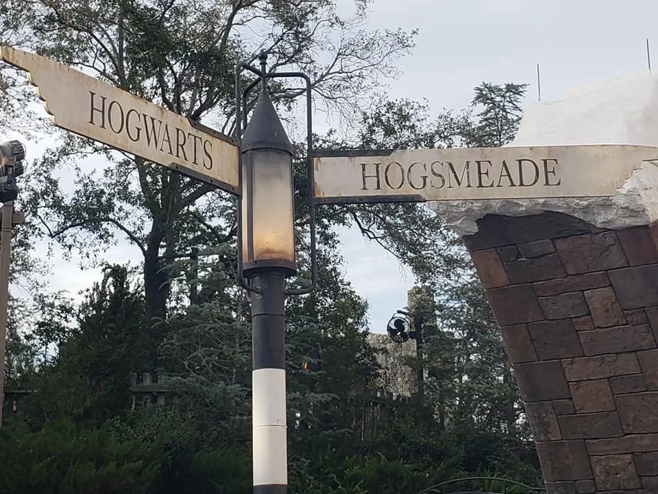 Thrilling Universal destination representing family theme park vacations planned with expert guidance