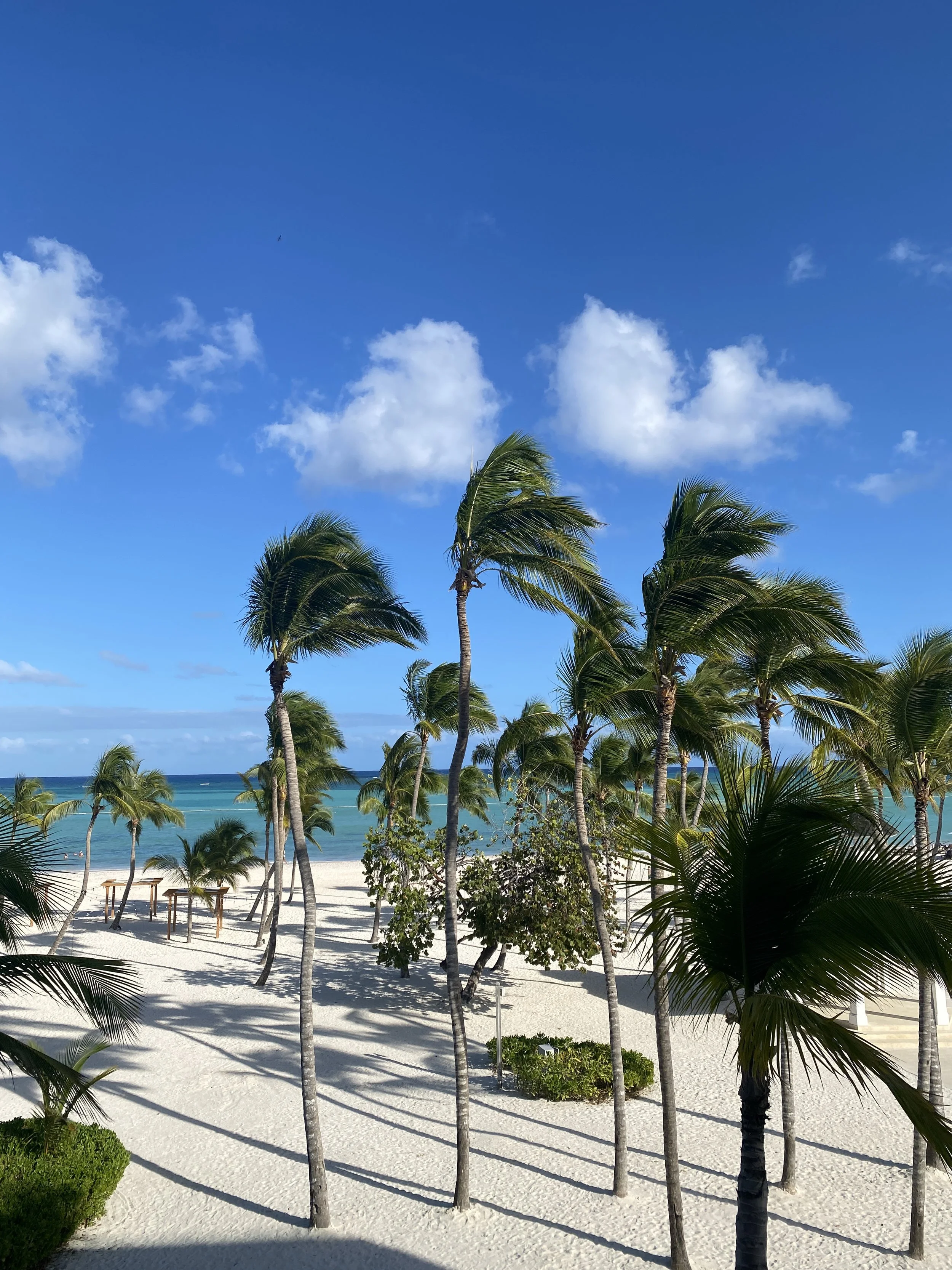 Calming ocean views and whit sand beaches for a relaxing vacation.